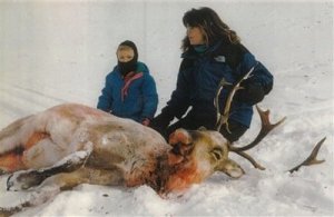 Palin endangers wildlife